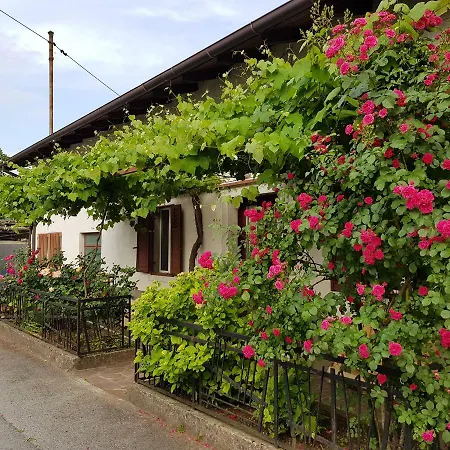 Antonias House